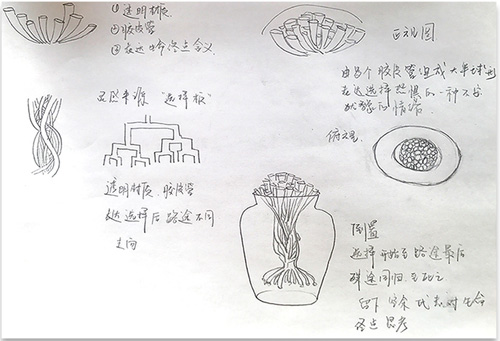 珠寶設(shè)計留學作品3